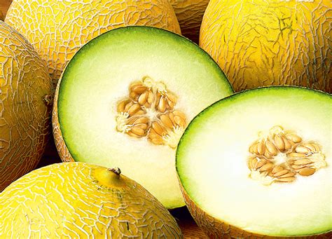 melons tybe|24 Types of Melons